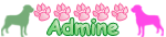 Admine