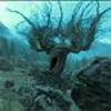 http://img5.xooimage.com/files/0/1/b/679933-830377-8c4d8e-977985.jpg