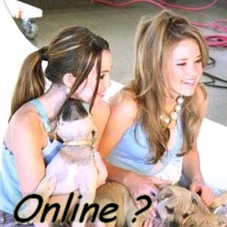 Who is Online