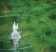 http://img5.xooimage.com/files/0/c/2/eaux-troubles-fc9ba7.jpg