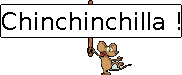 Chinchinchilla !