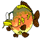 Carpe_1