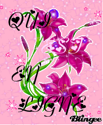 Who is Online
