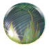 No new posts