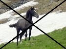 This forum is locked: you cannot post, reply to, or edit topics.