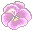 No new posts [ Popular ]