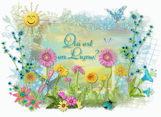 Qui est en ligne ?