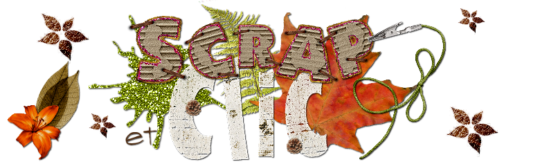 Scrap et Clic Index du Forum