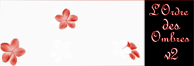 L'Ordre des Ombres v2 Forum Index