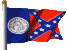 flag us