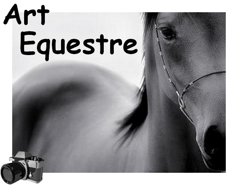 Quand l'Art rencontre le Cheval Forum Index