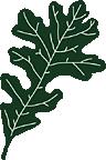 SYLTAYO GROUP SA Forum Index