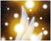 New posts