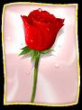 Who is Online
