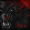 New posts