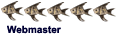 fondateur