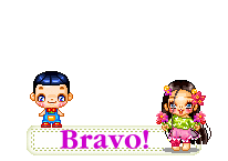 bra03