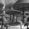No new posts