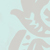 No new posts [ Popular ]