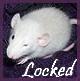 New posts [ Locked ]