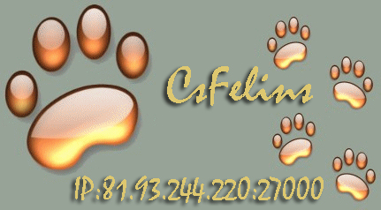BIENVENUE SUR CSFELINS Forum Index