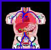 http://img5.xooimage.com/files/a/0/2/7up0ca5rpbnica1xx3adca7vktg-8344b8.jpg