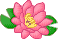 Fleur de lotus 2