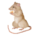 Register