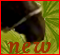 New posts [ Popular ]