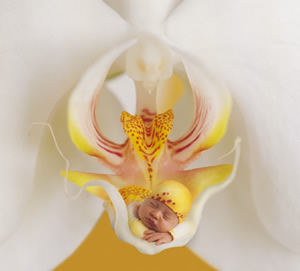Maman le plus beau metier Forum Index