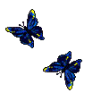 papillon-gif-006-fa031.gif