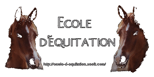 Ecole d 'équitation Forum Index