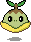 Tortipouss