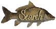 Search