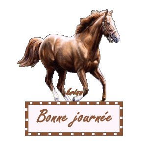 STARS DE DEMAIN