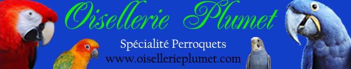 FORUM ET ANNONCES CLASSÉES SPÉCIALITÉ PERROQUET Forum Index