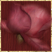 New posts