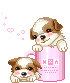 r44 r44