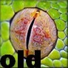 No new posts No new posts
