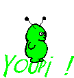::::youpi:::
