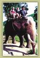 THAILANDE ENTRE NOUS Forum Index