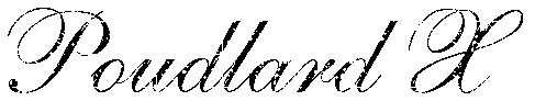   Forum Index