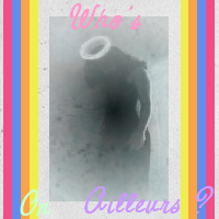 Who is Online