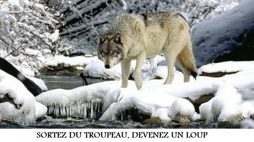 NOUVELLE CHANCE