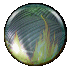 New posts