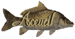 peche-passion Forum Index