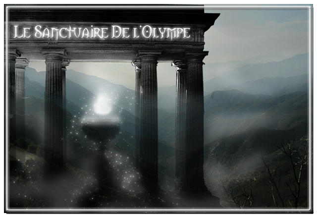  Forum Index