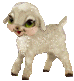 :miti: